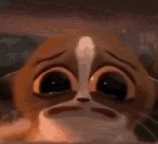 😭 emoji Богдан любит какиш Telegram sticker 22 of 38