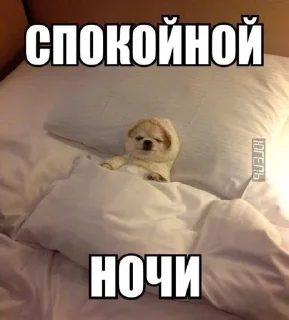 😴 emoji Богдан любит какиш Telegram sticker 13 of 38