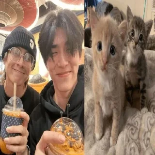 🫂 emoji gmmtv Telegram sticker 19 of 74