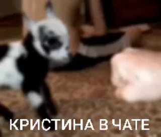 🤩 emoji лиза в тазике Telegram sticker 7 of 20