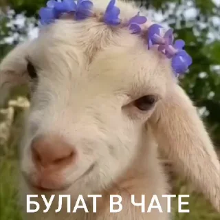 🤩 emoji лиза в тазике Telegram sticker 12 of 20