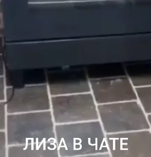 🤩 emoji лиза в тазике Telegram sticker 1 of 20