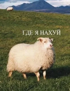 Sticker from Для переговоров