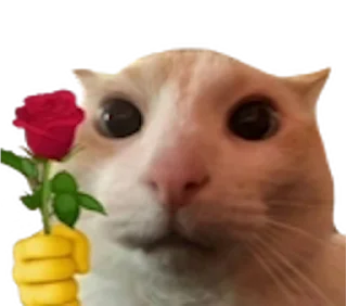 🌹 emoji awesome mix — @stckrRobot Telegram sticker 24 of 59