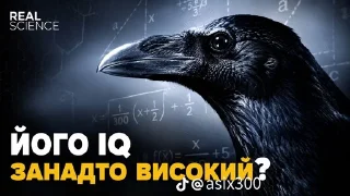 Sticker from Вершина