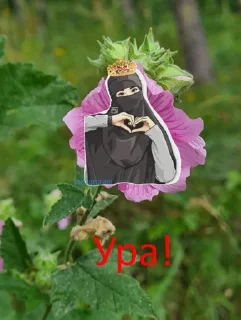 🤣 emoji Пак создан в @moyi_stikery_bot Telegram sticker 7 of 27