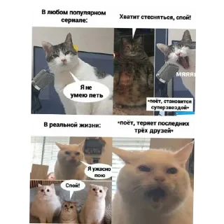 Sticker from Котики наркотики