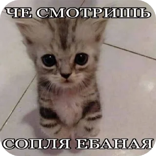 Sticker from Злые наркотики