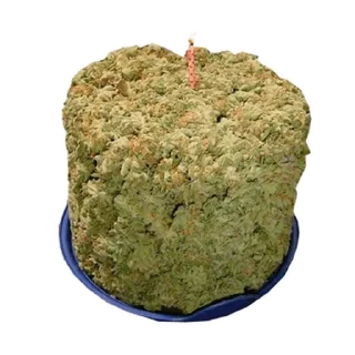 🎂 emoji кусают котики-наркотики — @stckrRobot Telegram sticker 4 of 80