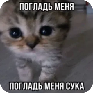 Sticker from котики-наркотики
