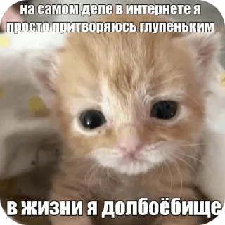 Sticker from котики-наркотики