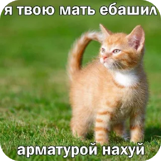 Sticker from Злые наркотики