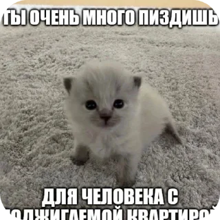 Sticker from Злые наркотики
