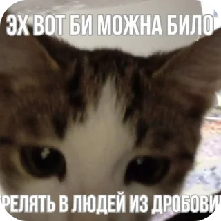 Sticker from котики-наркотики
