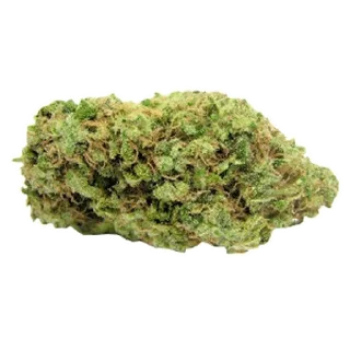 😀 emoji кусают котики-наркотики — @stckrRobot Telegram sticker 2 of 80