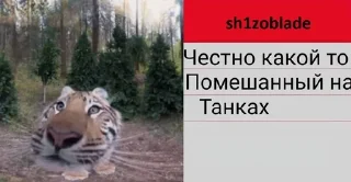 Sticker from Танки с игорем