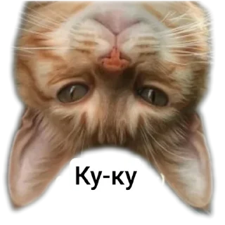 Sticker from Животные