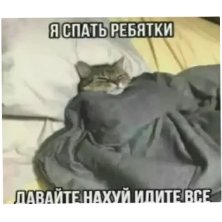 Sticker from животные