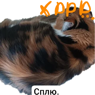 Sticker from Животные