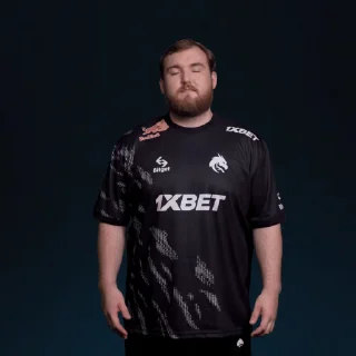 Sticker from Team Spirit CS:GO