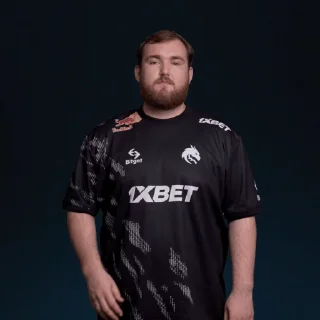 Sticker from Team Spirit CS:GO