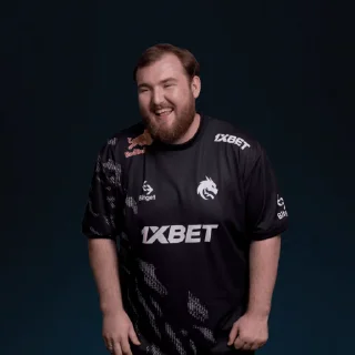 Sticker from Team Spirit CS:GO