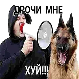Sticker from Стикеры для разъеба