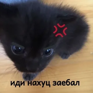 как вы меня задолбали sticker 2