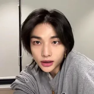 Sticker from stray kids