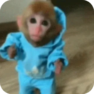 🐒 emoji @FULLSITION <- БОЛЬШЕ Telegram sticker 20 of 71
