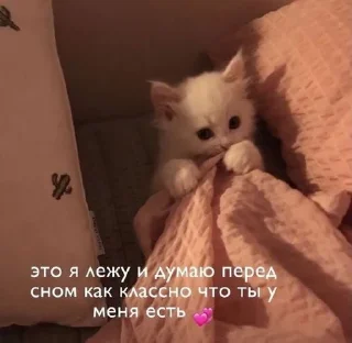 Sticker from Люблю ☺️🎀