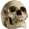 🌟 emoji dark vintage @diaschiz @TgEmodziBot Telegram sticker 5 of 94