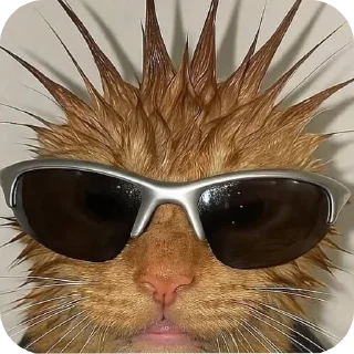 😎 emoji Ебаа :: @Phontanaa Telegram sticker 16 of 19