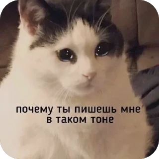 Sticker from на все случаи жизни by @kristievss