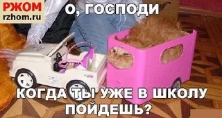 Sticker from Ржомба