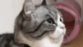 ☺️ emoji @STICKRULE <- БОЛЬШЕ Telegram sticker 11 of 53