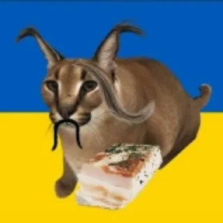 🇺🇦 emoji Video Favorite stickers Telegram sticker 6 of 51