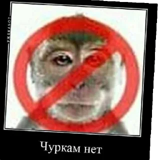 😄 emoji Нихуя Telegram sticker 13 of 26