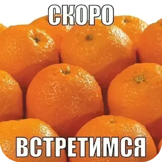 🍊 emoji Давай по новой Миша, всё хуйня Telegram sticker 19 of 61