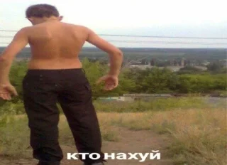 Sticker from смысл жизни мемы мемы