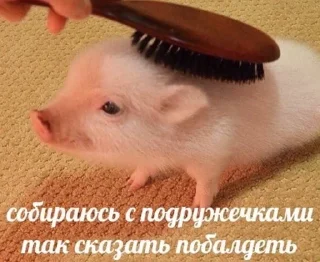 ☺️ emoji милые твари Telegram sticker 8 of 60