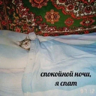 🌃 emoji милые твари Telegram sticker 7 of 60