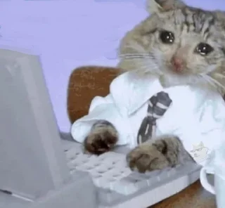 😭 emoji милые твари Telegram sticker 20 of 60