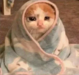 🥺 emoji милые твари Telegram sticker 24 of 60