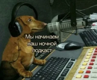 🧐 emoji милые твари Telegram sticker 12 of 60