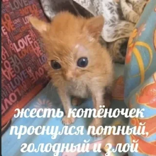 🥱 emoji милые твари Telegram sticker 5 of 60