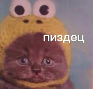😳 emoji милые твари Telegram sticker 18 of 60