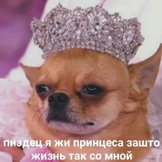 🤬 emoji милые твари Telegram sticker 13 of 60
