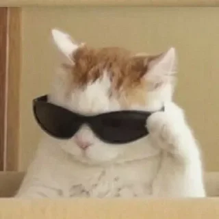 😎 emoji милые твари Telegram sticker 22 of 60