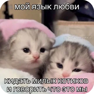 👍 emoji мяув Telegram sticker 1 of 35